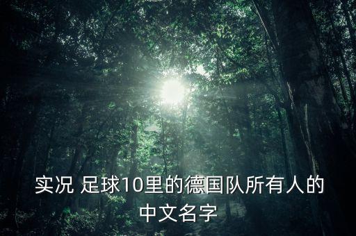  實況 足球10里的德國隊所有人的中文名字