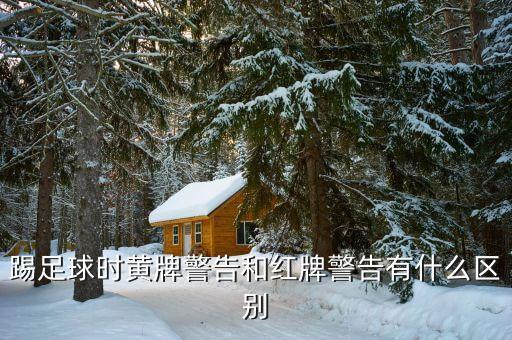 踢足球時黃牌警告和紅牌警告有什么區(qū)別