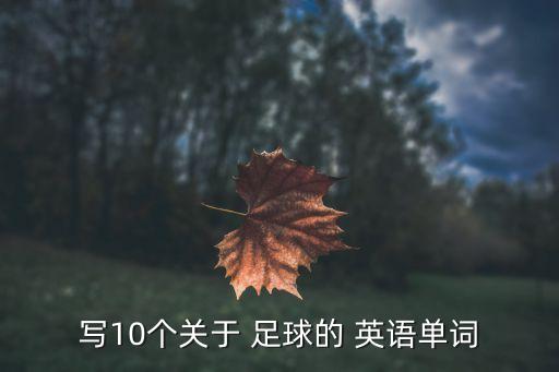 足球相關英語詞匯,關于足球世界杯的英語詞匯