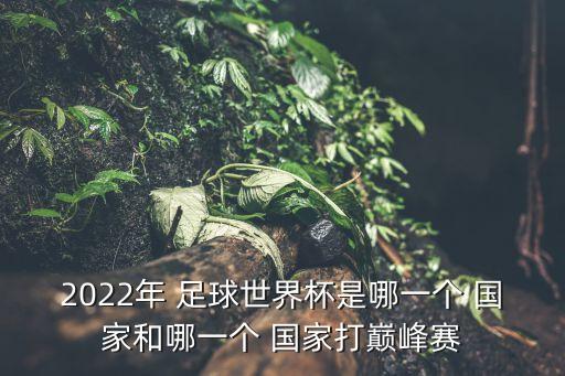 2022年 足球世界杯是哪一個 國家和哪一個 國家打巔峰賽