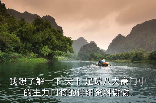 我想了解一下 天下 足球八大豪門中的主力門將的詳細(xì)資料謝謝!