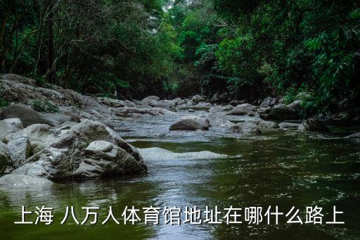 上海八萬(wàn)人體育場(chǎng)nike足球公園