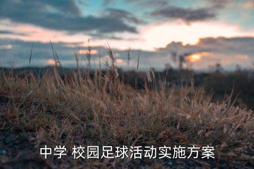 中學(xué) 校園足球活動實施方案
