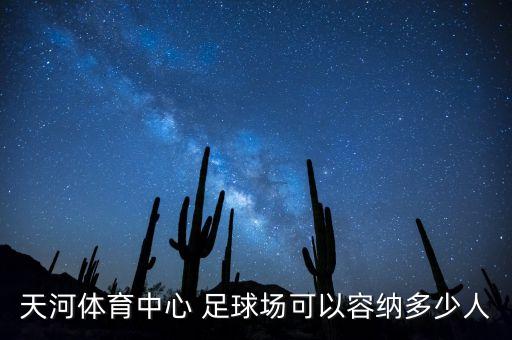 廣州足球場比賽,比賽足球場的草坪是真的嗎