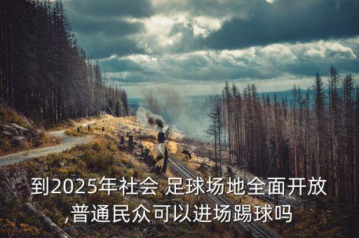 國(guó)家政策支持足球,廣州沒(méi)有國(guó)家政策支持