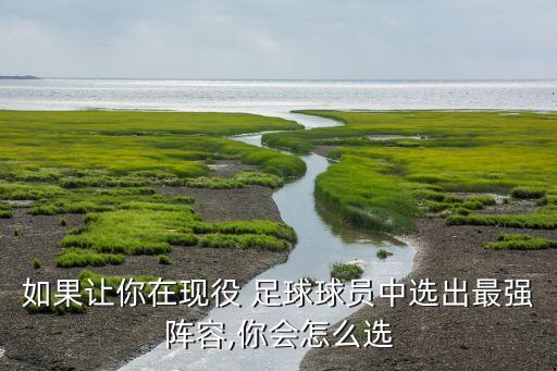 如果讓你在現(xiàn)役 足球球員中選出最強陣容,你會怎么選