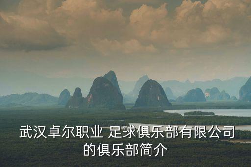 武漢足球為什么退賽,武漢光谷足球退賽事件