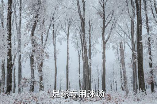 中國足球專用球場