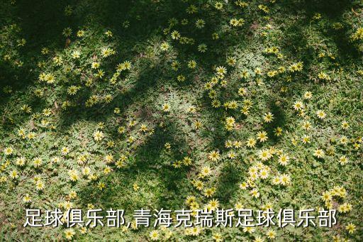 青海足球俱樂(lè)部,青?？巳鹚棺闱蚓銟?lè)部