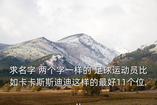 求名字 兩個(gè)字一樣的 足球運(yùn)動(dòng)員比如卡卡斯斯迪迪這樣的最好11個(gè)位...