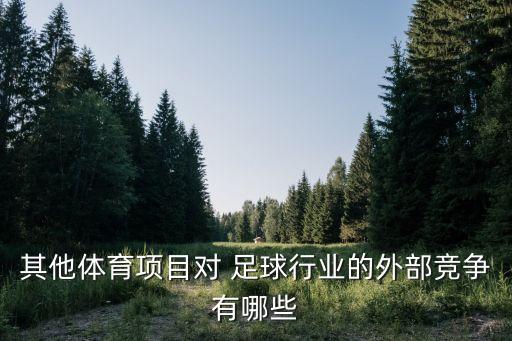 其他體育項目對 足球行業(yè)的外部競爭有哪些