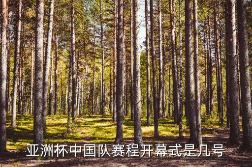 亞洲杯中國(guó)隊(duì)賽程開(kāi)幕式是幾號(hào)