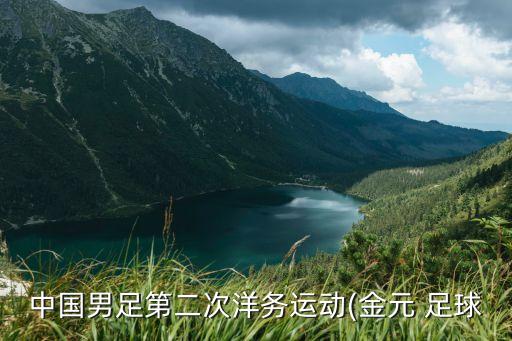中國男足第二次洋務運動(金元 足球
