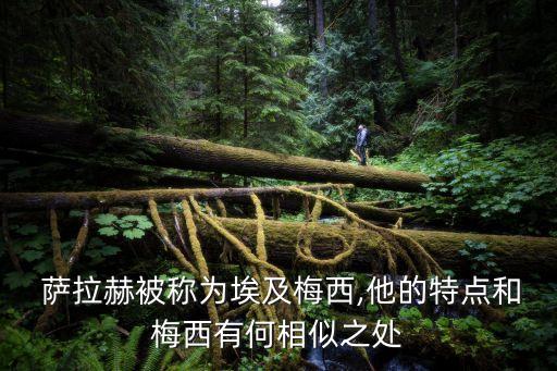  薩拉赫被稱為埃及梅西,他的特點(diǎn)和梅西有何相似之處