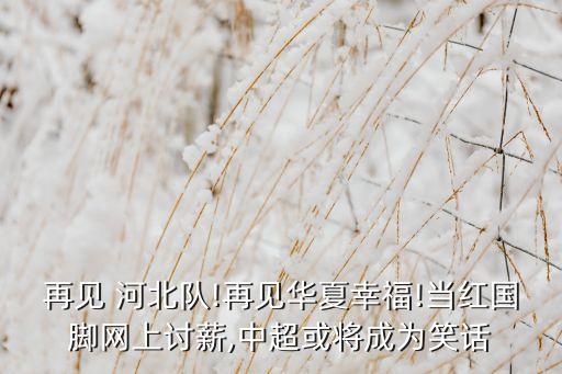 再見 河北隊!再見華夏幸福!當(dāng)紅國腳網(wǎng)上討薪,中超或?qū)⒊蔀樾υ? class=