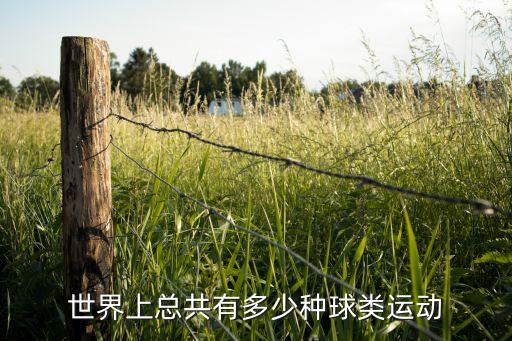 世界上總共有多少種球類運(yùn)動