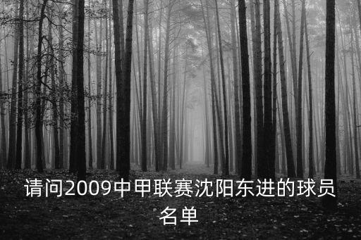 請(qǐng)問2009中甲聯(lián)賽沈陽東進(jìn)的球員名單