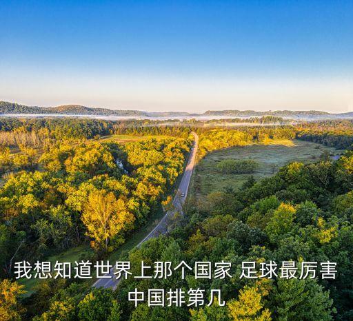 印尼足球與巴勒斯坦足球實力