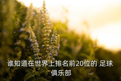 誰(shuí)知道在世界上排名前20位的 足球 俱樂(lè)部