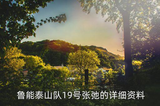 魯能泰山隊19號張弛的詳細(xì)資料
