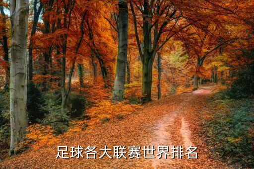 足球各大聯賽世界排名