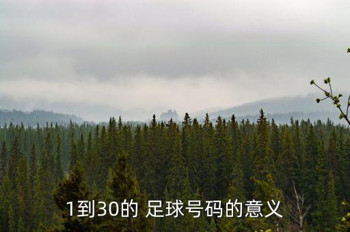 5號(hào)足球球員,77號(hào)足球球員