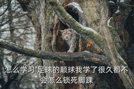 怎么學(xué)習(xí) 足球的顛球我學(xué)了很久都不會(huì)怎么鎖死腳踝