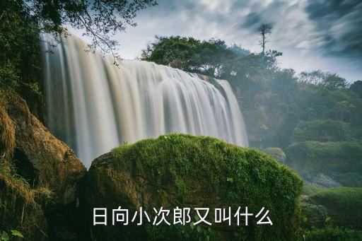 日本 越位戰(zhàn)術 足球小將,日本造越位戰(zhàn)術