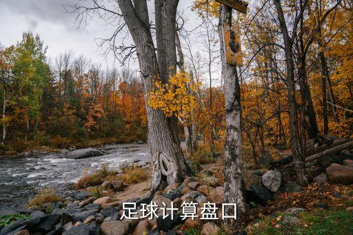  足球計(jì)算盤(pán)口