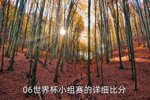 06世界杯小組賽的詳細比分