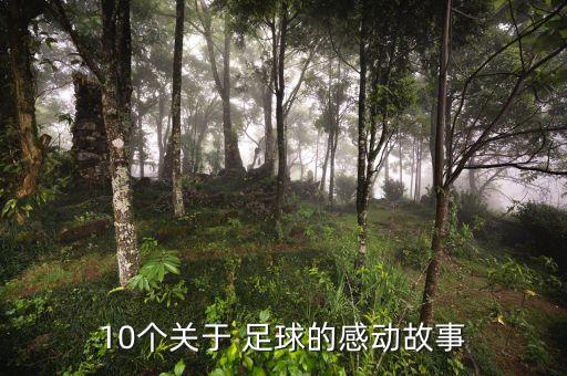 10個關于 足球的感動故事