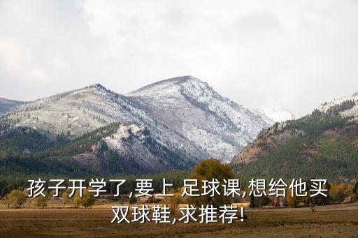 孩子開(kāi)學(xué)了,要上 足球課,想給他買雙球鞋,求推薦!