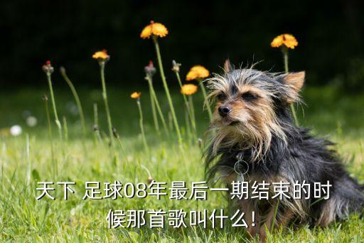 天下 足球08年最后一期結(jié)束的時候那首歌叫什么!