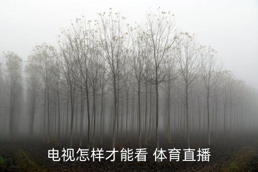 電視怎樣才能看 體育直播