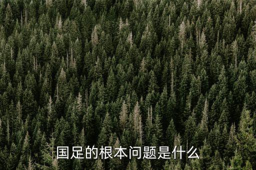 中國(guó)足球需要姚明