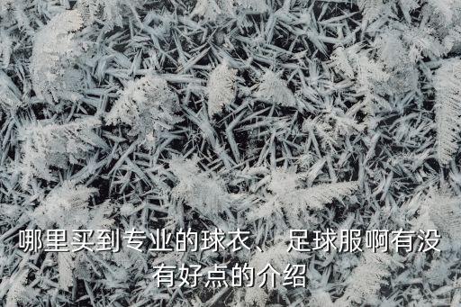 哪里買到專業(yè)的球衣、 足球服啊有沒(méi)有好點(diǎn)的介紹