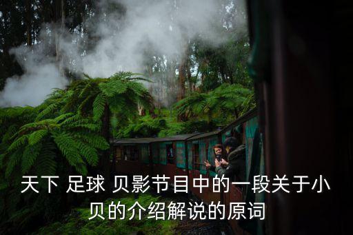 天下 足球 貝影節(jié)目中的一段關于小貝的介紹解說的原詞
