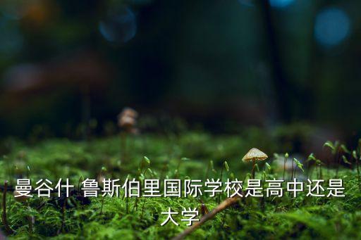 什魯斯伯足球隊(duì)