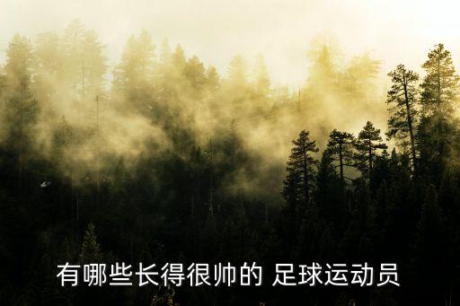 足球明星名字長(zhǎng)的,全部足球明星名字大全
