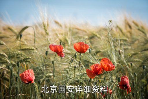 北京國(guó)安足球隊(duì)員照片,足球直播北京國(guó)安