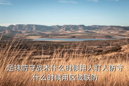  足球防守戰(zhàn)術(shù)什么時候用人盯人防守,什么時候用區(qū)域聯(lián)防