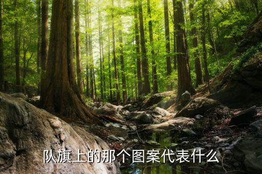 隊(duì)旗上的那個圖案代表什么