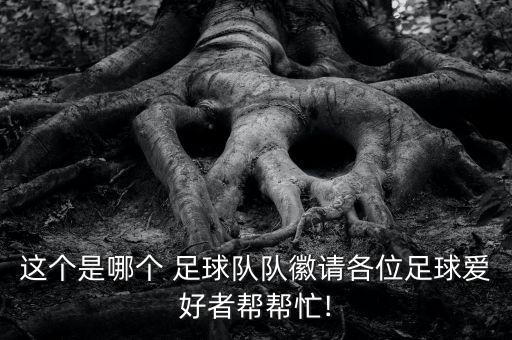 這個是哪個 足球隊隊徽請各位足球愛好者幫幫忙!