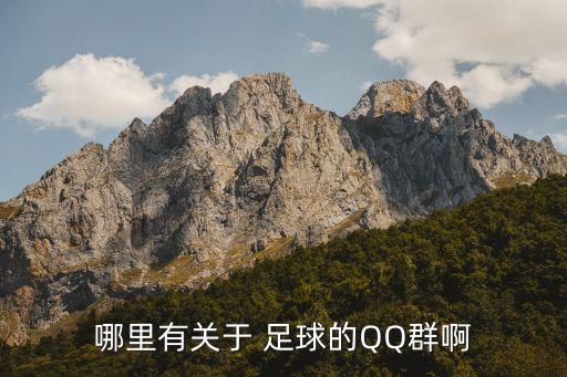 哪里有關于 足球的QQ群啊