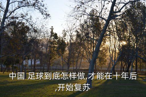 中國 足球到底怎樣做,才能在十年后,開始復(fù)蘇