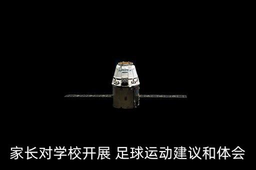家長對學(xué)校開展 足球運(yùn)動(dòng)建議和體會(huì)
