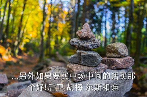 ...另外如果要買中場(chǎng)中間的話買那個(gè)好!后衛(wèi) 胡梅 爾斯和誰(shuí)