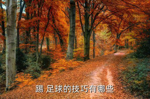 足球比賽前準備運動視頻