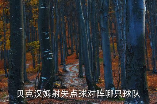 貝克漢姆射失點球?qū)﹃嚹闹磺蜿? class=