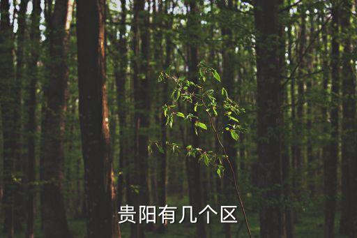 金陽縣足球,四川省金陽縣天氣預(yù)報